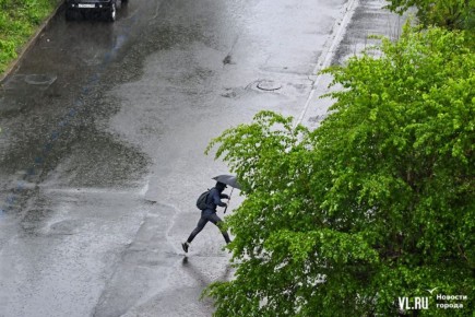 Энергетики во Владивостоке перешли в режим повышенной готовности из-за сильного дождя