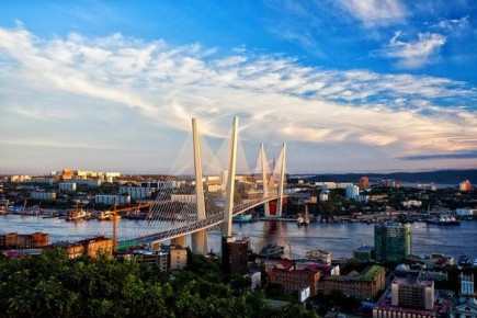 Полиция проводит проверку по факту инцидента с собакой в Находке