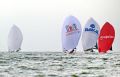    -    MELGES 20!