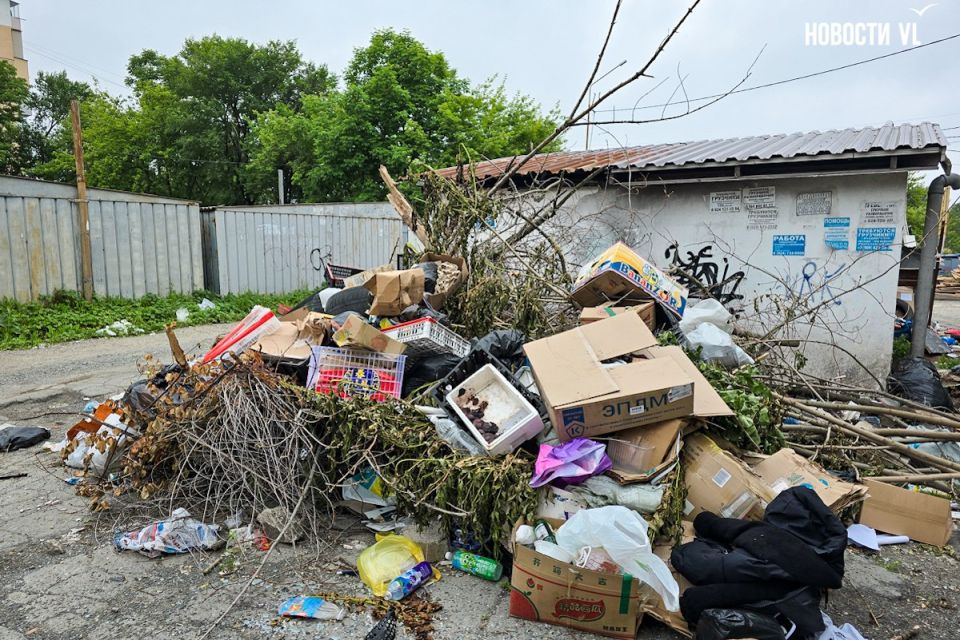 Стихийная свалка на Гамарника разрастается за счёт мусора во всего района