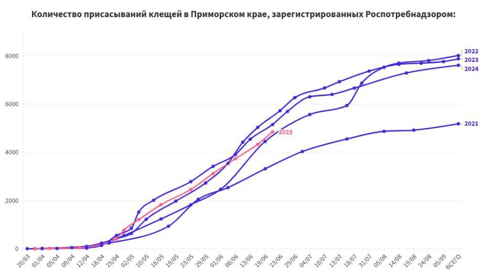 В районе Русской, 5 во Владивостоке повреждённое дорожное полотно размыло дождями до аварийного состояния