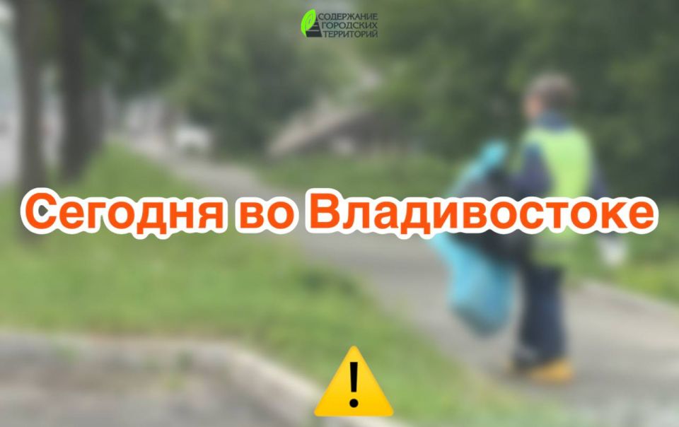   :  ,  ,  ,  
