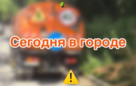   :   ,   ,  ,  ,     