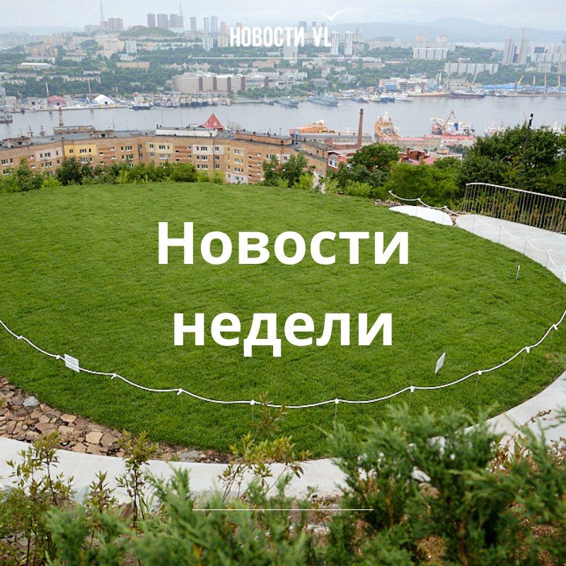     VL.ru,    :