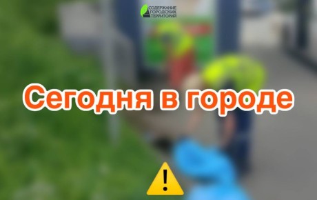   :  ,  ,     ,  ,      