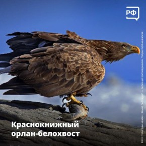   ,      ,       ,           