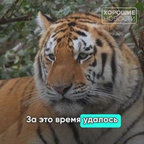       !