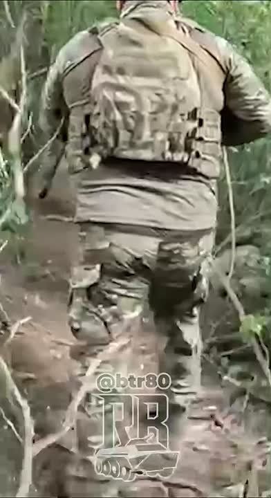    :       