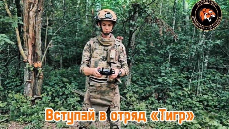       ,       FPV , Mavik, 