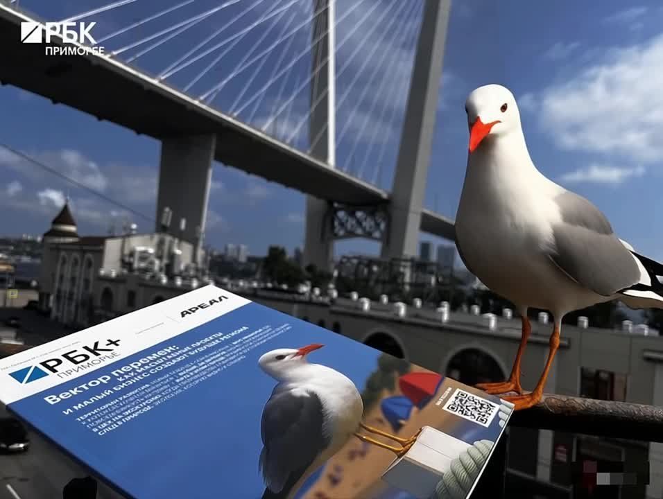     +    