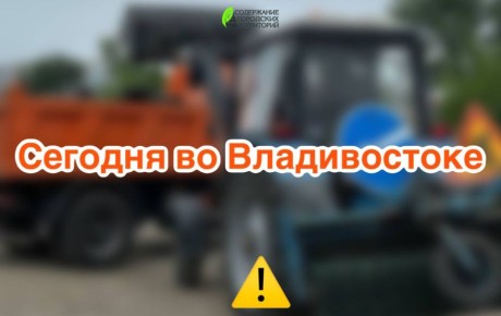   :  ,    ,       