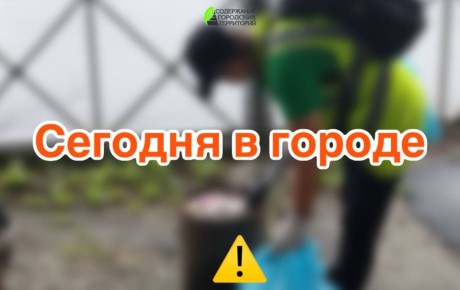   :  ,  ,  ,     