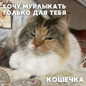    #_     ,              