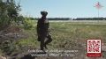      FPV-