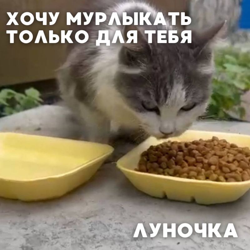    #_     ,              