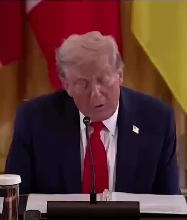 -     ,       ,             