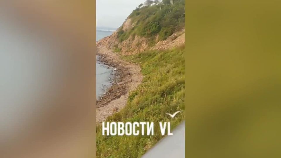  VL         