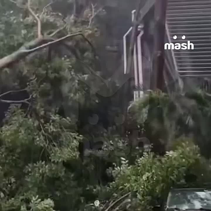  &quot;&quot;   - :     ,  ,    ,        