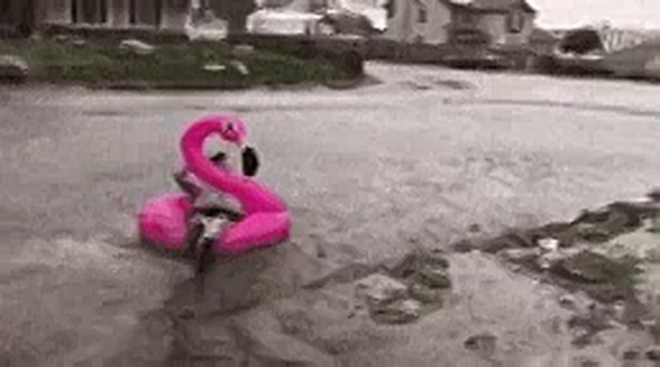  ,    