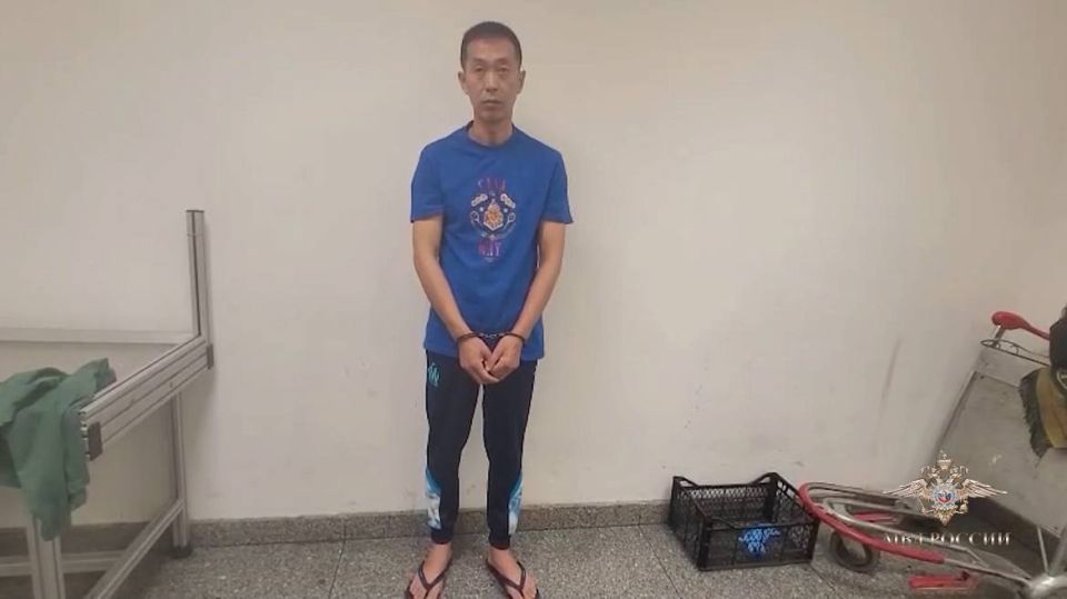 :      ,       