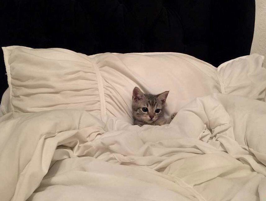   : 5 ,      