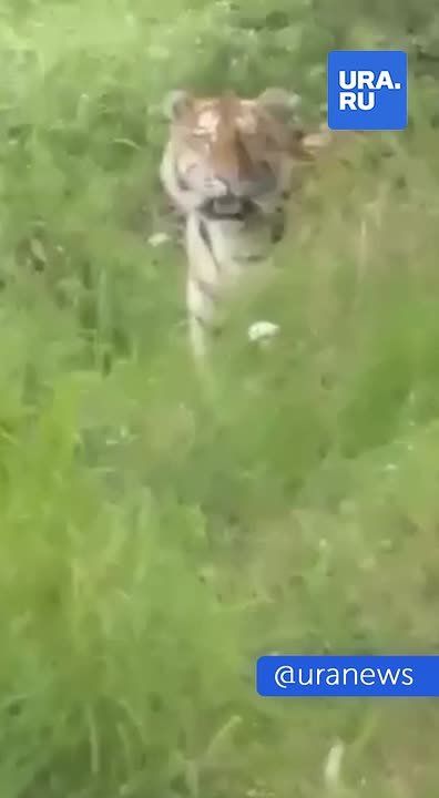 ,  .              