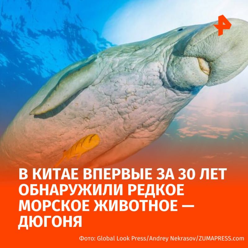   ,  ,         30      