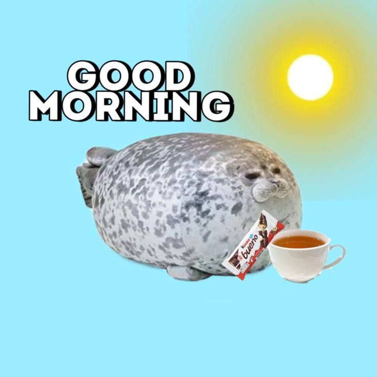  , !.    :    ,  ,     