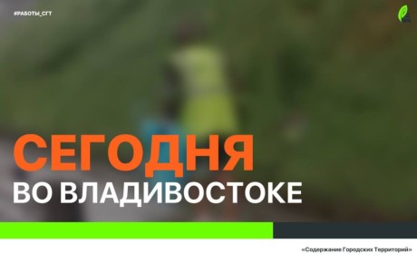  :   ,    ,   ,  