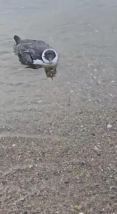        , ,   ,   