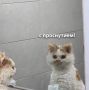  , !.        