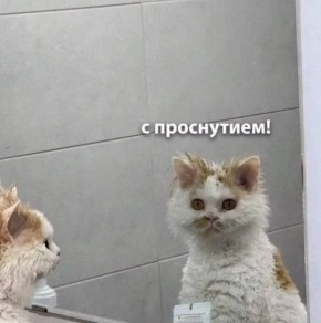  , !.        