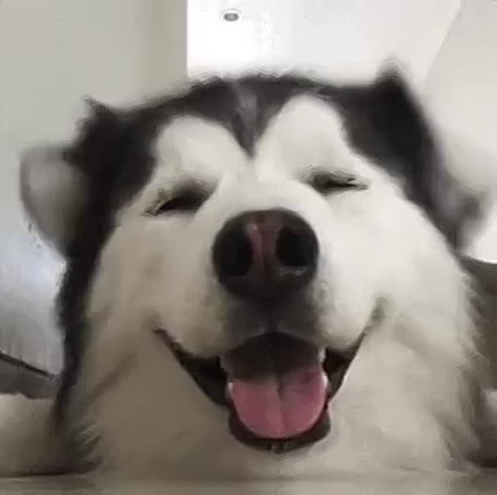 ,   :       