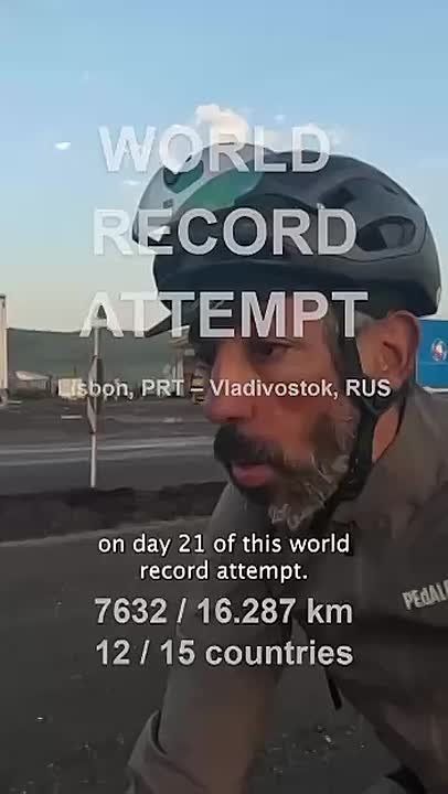  ,    ,       