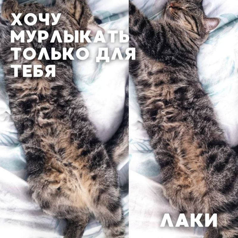    #_     ,              