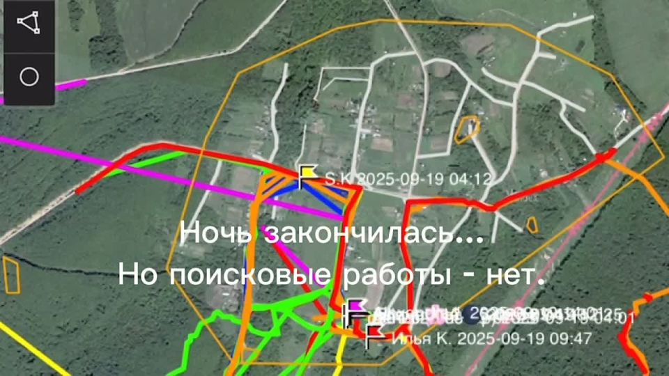 Волонтеры всю ночь искали грибника в лесу под Уссурийском – мужчину нашли живым