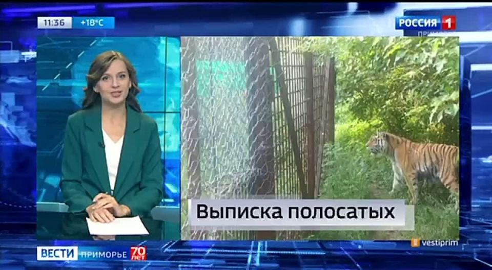 Новости Приморья коротко. Вести Приморье в МАХ