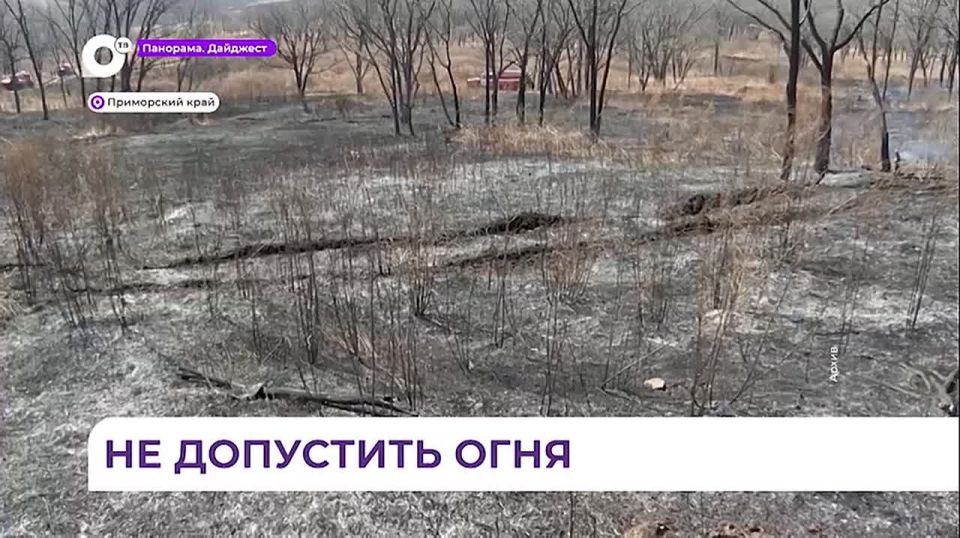 В Приморье доложили о готовности к сезону пожаров