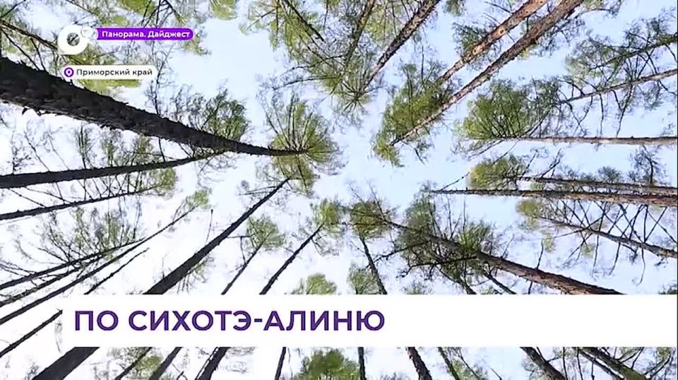      Ը      