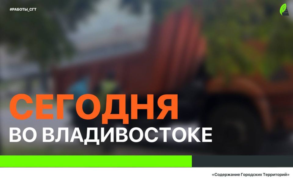 Сегодня в городе: мониторинг мест возможных подтоплений и санитарная уборка в условиях дождя