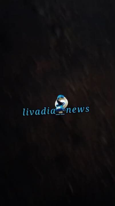 Рядом с Большим Камнем автомобиль сбил медведя