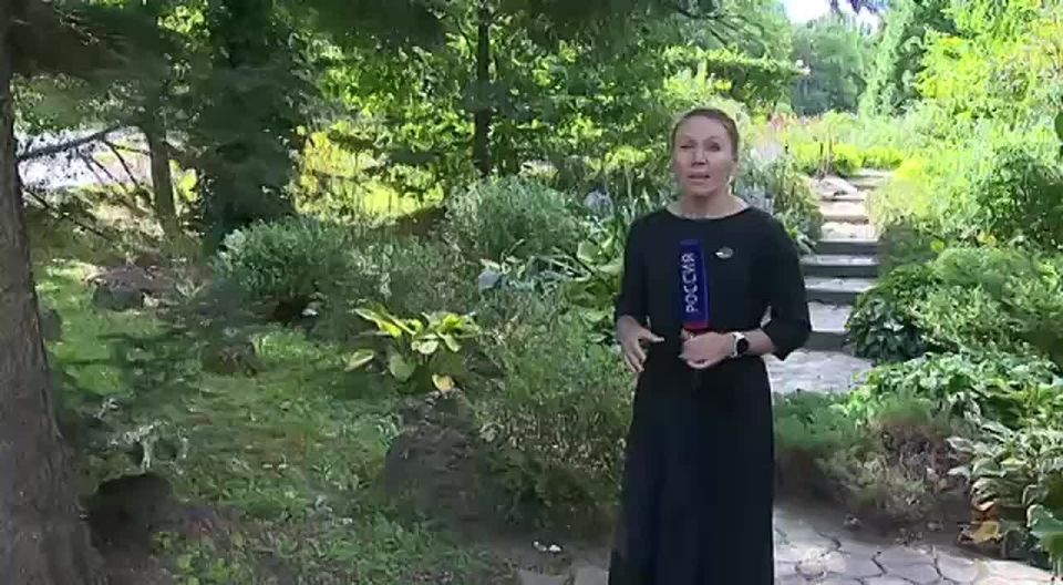 Приморское «бабье лето» обманывает растения