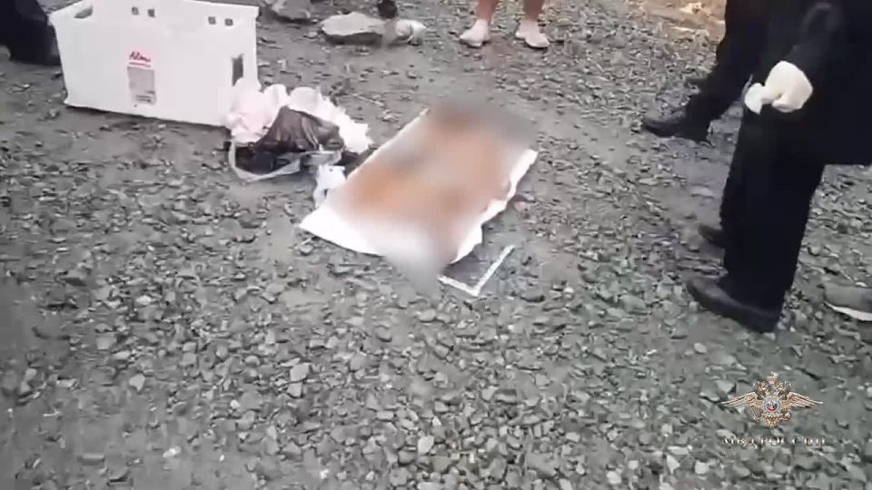  :                 