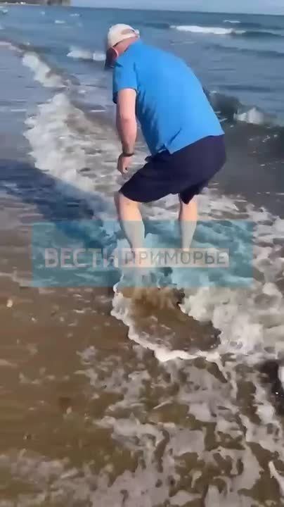 ,  ,     