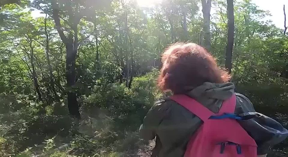 Дрон зафиксировал НЛО на знаковой высоте в Приморье