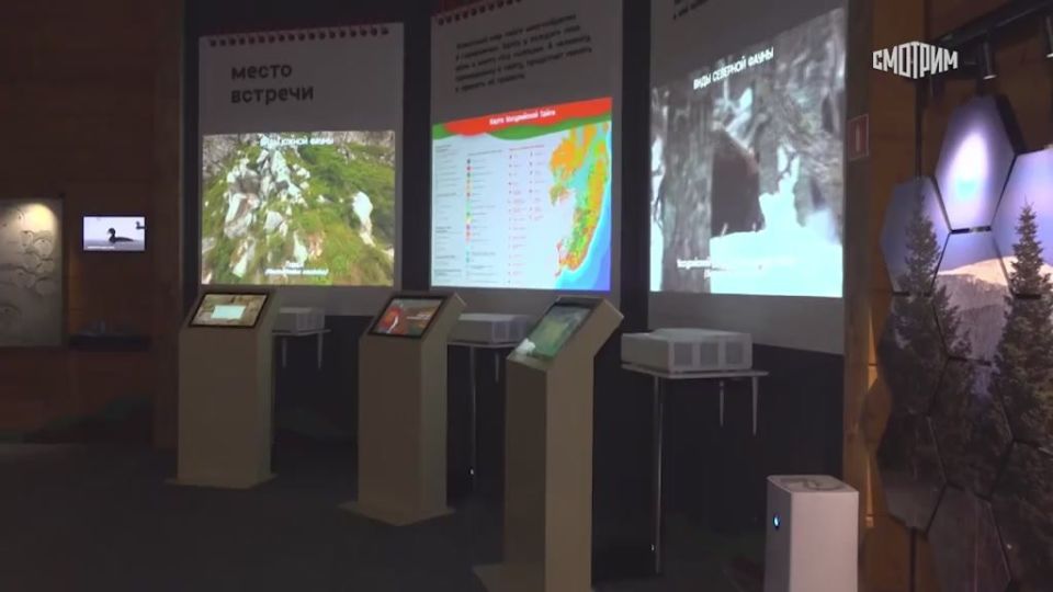 11111День тигра отметили в Приморье
