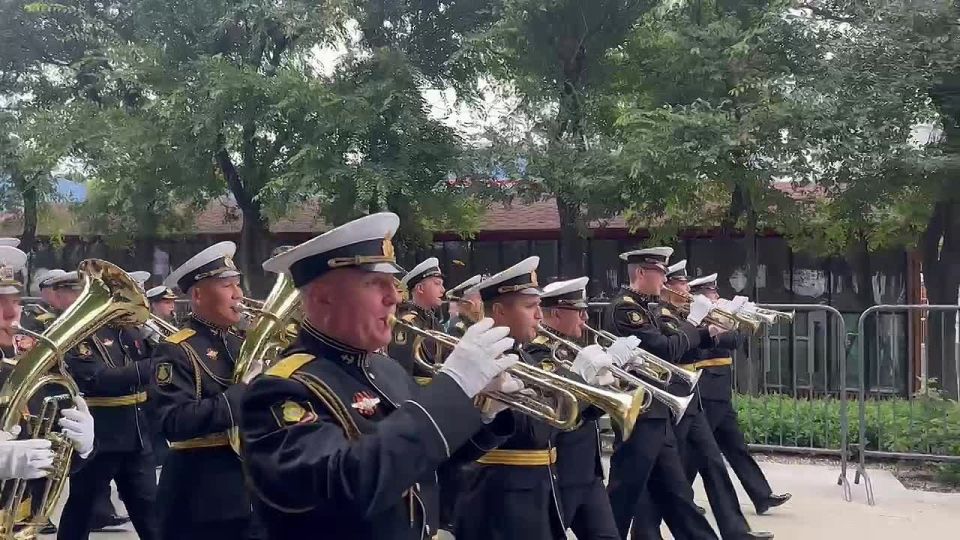 В воскресенье, 28 сентября, Владивосток отметил один из самых ярких праздников осени — День тигра