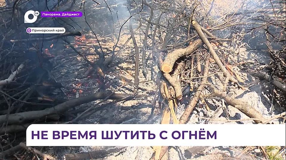 В приморских лесах возрастает пожарная опасность