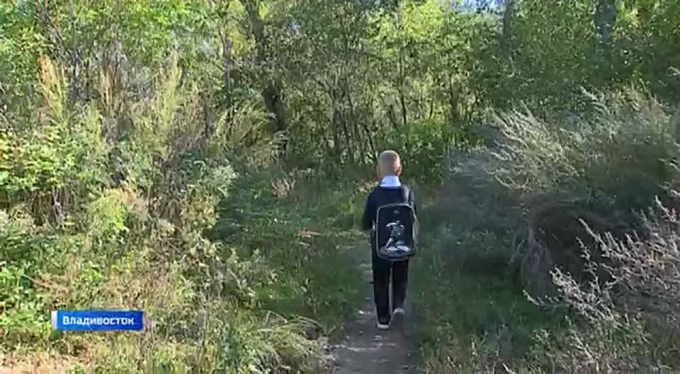 Сутки до прямого разговора главы региона Олега Кожемяко с приморцами