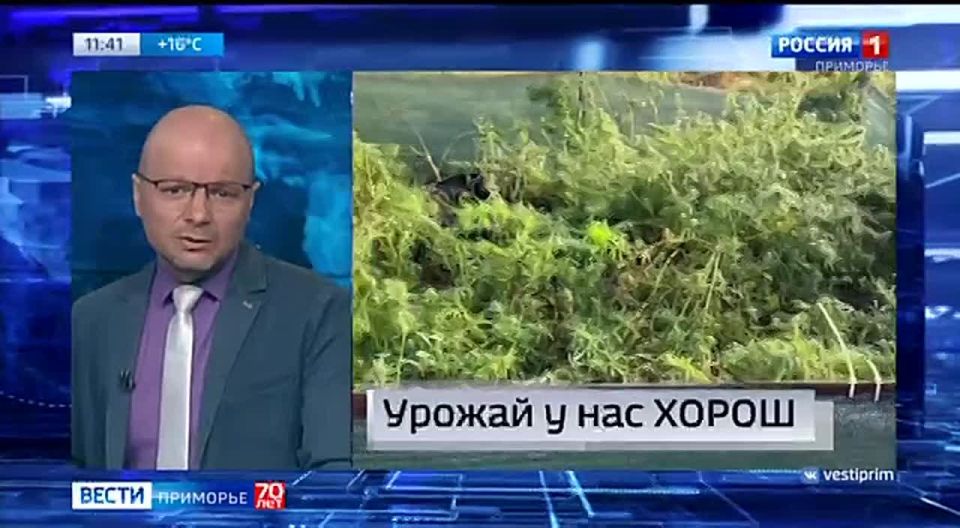 Новости Приморья коротко. Вести Приморье в МАХ